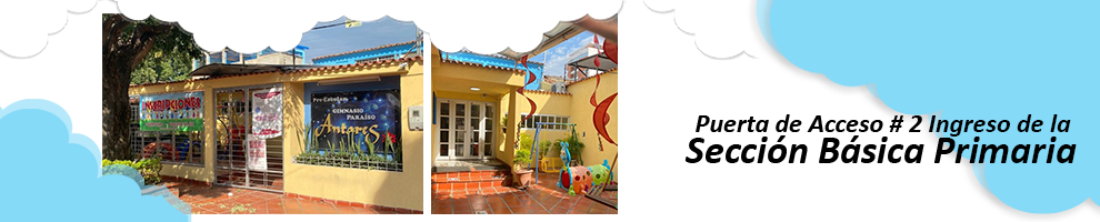 Sección Básica Primaria
